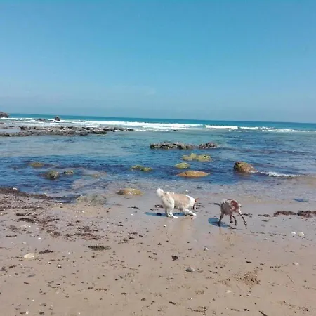 Monte Y Mar 2*
